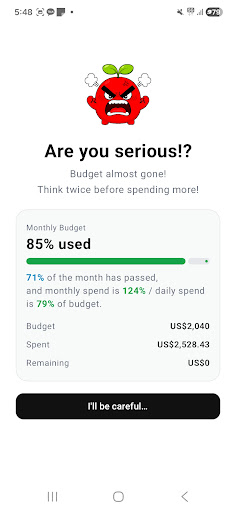 Full-screen budget alert